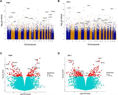 Epigenome-wide DNA methylation profiling in comparison between pathological and physiological hypertrophy of human cardiomyocytes